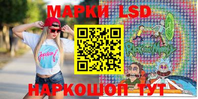 гидропоника Пенза