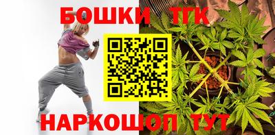 гидропоника Пенза