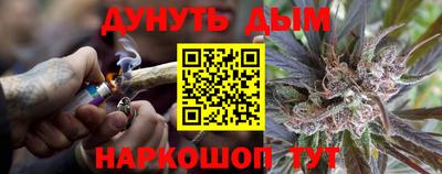 гидропоника Пенза