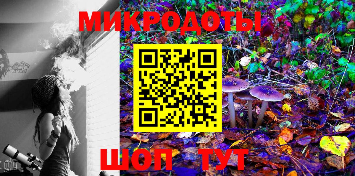 Псилоцибиновые грибы Magic Shrooms  купить  цена  Сердобск  Вход с VPN 